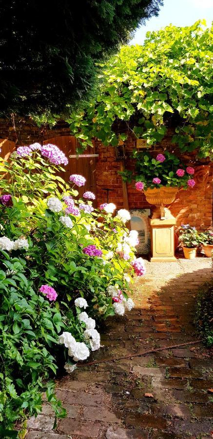Ferienwohnung Villa Flora Τσέλε Εξωτερικό φωτογραφία